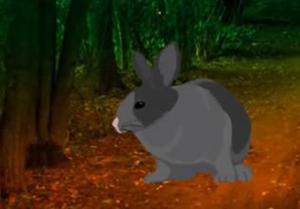 play Save The Rabbit