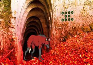 play Red Wolf Forest Escape