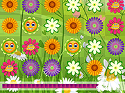 play Flowers Rush