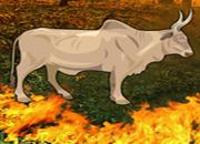 Fire Forest Bull Escape