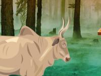 play Fire Forest Bull Escape
