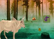 play Fire Forest Bull Escape