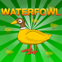play G2J Waterfowl Rescue