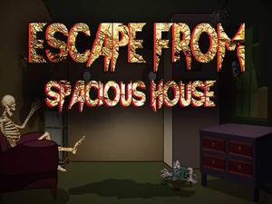 play Escape From Spacious House