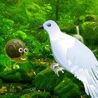 play Green-Forest-Dove-Escape