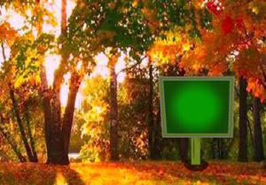 play Save The Deer