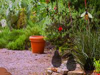 play Escape Bear From Garden