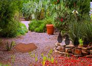 play Escape Bear From Garden