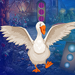 play Cob Bird Rescue