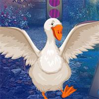 play Cob Bird Rescue Escape