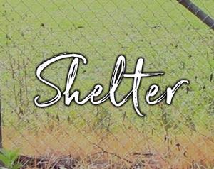 play Shelter