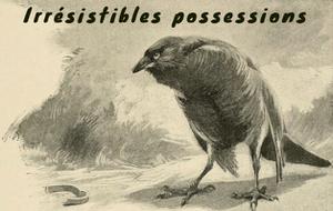 play Irrésistibles Possessions