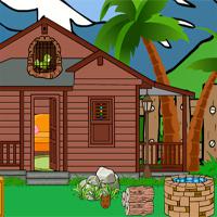 play Bird-Rescue-From-Cage