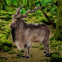 play Wowescape Save The Markhor