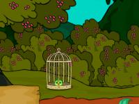 play Kangaroo Family Rescue