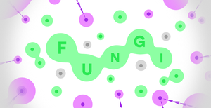 play Fungi.Game