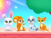 play Cute Pets Caring And Dressup