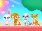 Cute Pets Caring And Dressup