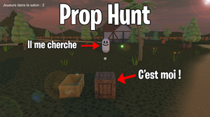 play Online Multiplayer Prop Hunt