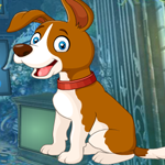 play Jimmy Dog Rescue