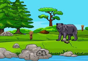 play Bear Adventure Level Escape