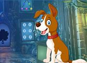 play Jimmy Dog Rescue