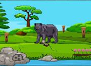 play Bear Adventure Level Escape