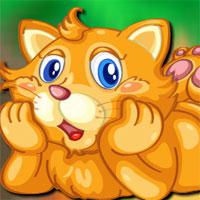 play Playful Cat Escape