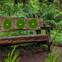 Big Wooden Bench Forest Escape
