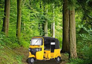 Forest Tuktuk Fun Escape