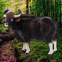 Save The Gaur