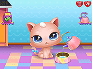 play Cute Kitty Care