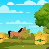 play 8B Farm Boy Escape 2