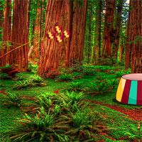 play G4K-Eco-Forest-Escape