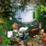 play Wonderland-2