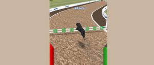 Dog Racing Simulator