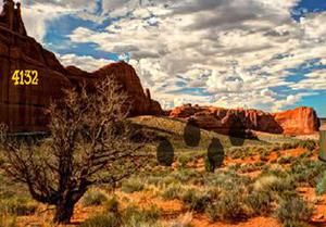 play Daydreaming Desert Forest Escape