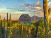 play Daydreaming Desert Forest Escape