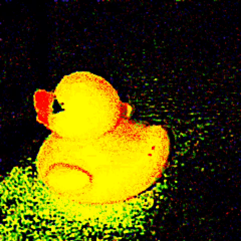 play Feed Duck Cauliflower