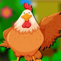 play Happy Hen Escape