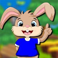 play Happy Rabbit Escape