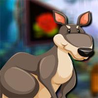 play Cute Kangaroo Escape