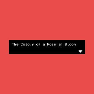 play The Colour Of A Rose In Bloom