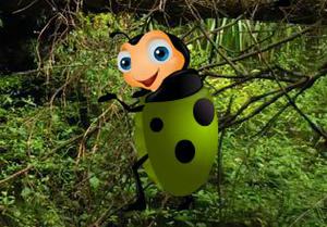 play Crazy Beetle Forest Escape