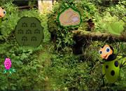play Crazy Beetle Forest