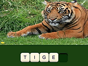 play Zoo Trivia