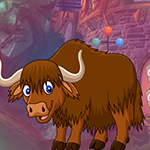 Brown Yak Escape