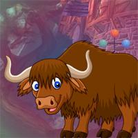 Brown Yak Escape