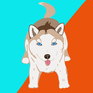 play Pawpuzzles-Alpha Release