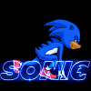 play The Hedgehog (Sonic)